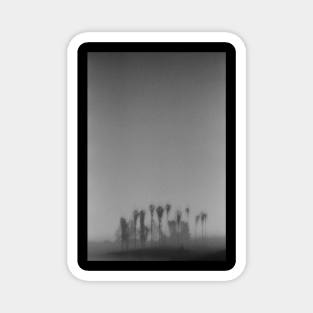 Blurry Trees Magnet