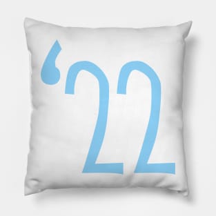 Class of 2022 in Sky Blue Pillow