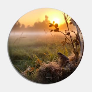 Sunrise over a green meadow fog rises in the summer and frog sitting on the front Pin