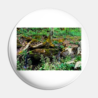 Small Spring in the Forest Pin