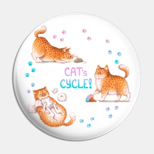 Cat's Cycle (Pink Blue) Pin