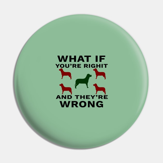 What If You're Right And They're Wrong Pin by YassShop