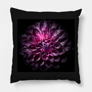 Backyard Flowers 57 Color Version Pillow