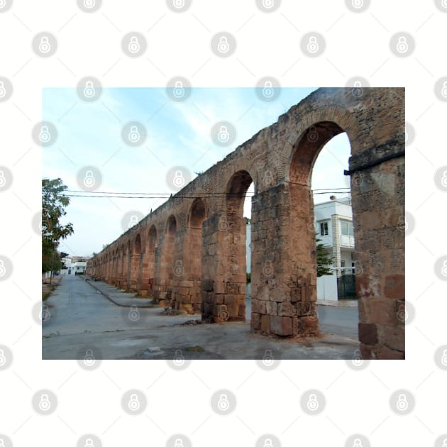 Roman Aqueduct, Tunis by tomg