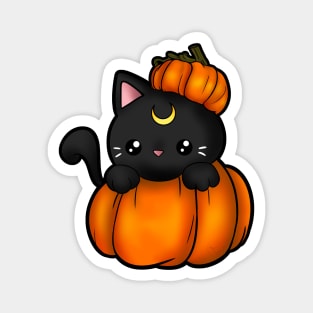 moon kitty pumpkin Magnet