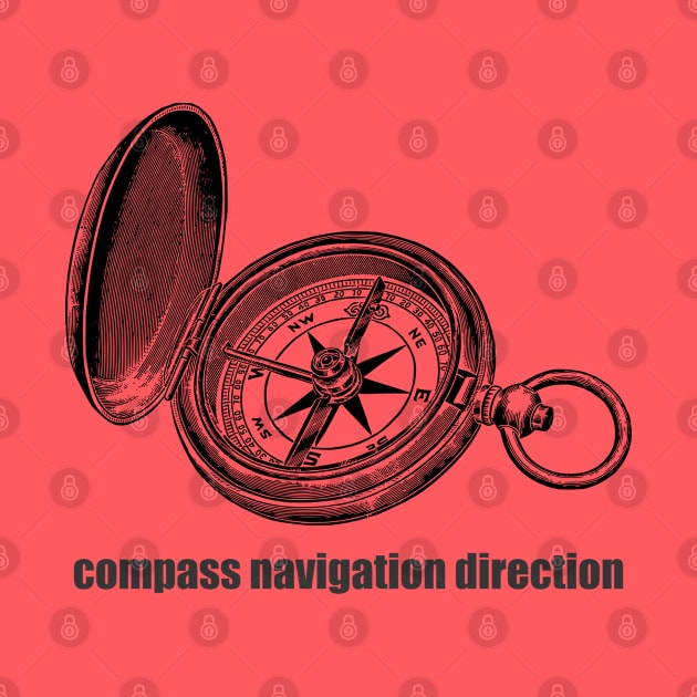 compass navigation direction by Qasim