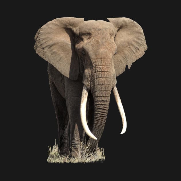 Elephant on Safari in Kenya / Africa by T-SHIRTS UND MEHR