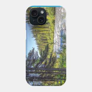 USA. Alaska. Denali National Park. Trees. Phone Case