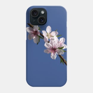 Peach Blossoms Phone Case