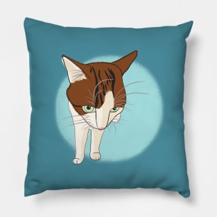 Soya the cat - grumpy Pillow