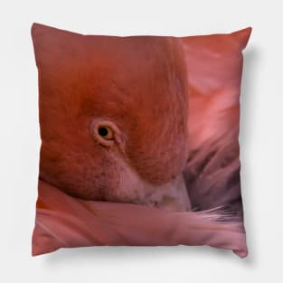 Flamingo Pillow