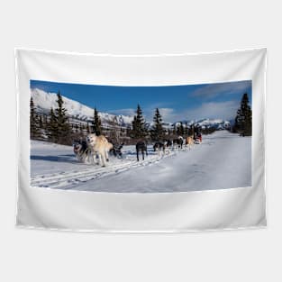 Dog Sled Tapestry