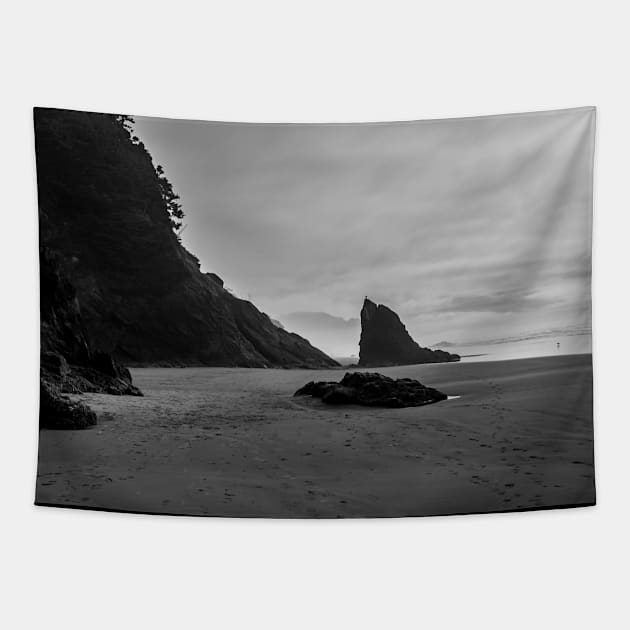 Portland Beach and Rocks Tapestry by Just In Tee Shirts