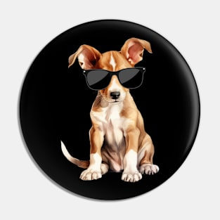 Ibizan Hound Puppy Wearing Sunglasses Pin