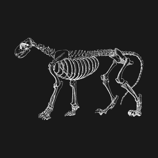 Cat Skeleton by tommartinart