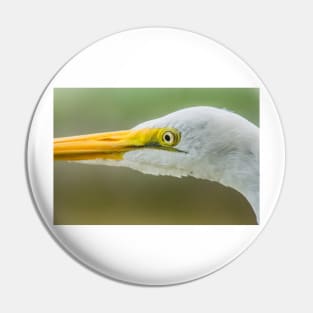 Up close with the Great Egret Pin