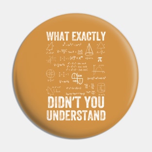 What Exactly Didn't You Understand, mathematics, Vintage style Pin