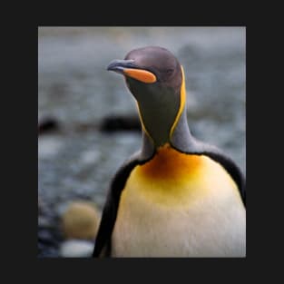 King Penguin Up Close & Personal T-Shirt