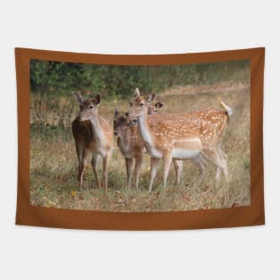 Fallow Deer - Bushy Park, London Tapestry