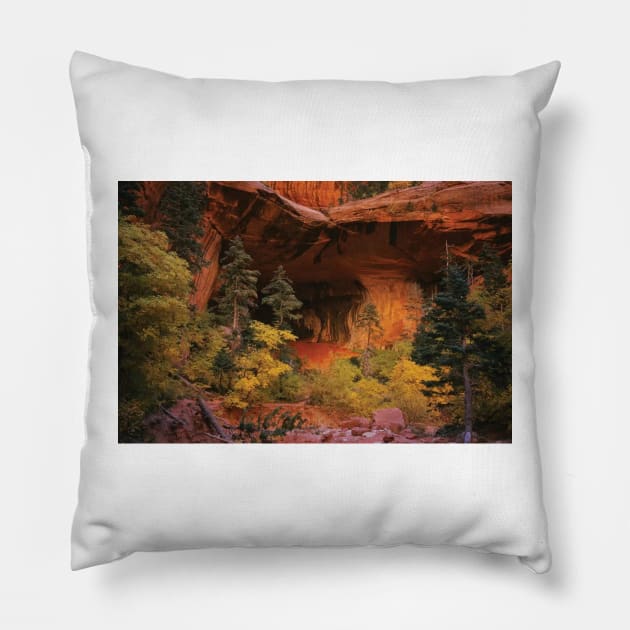 Trees In Front Of A Cave Zion National Park Pillow by HammiltenJohn