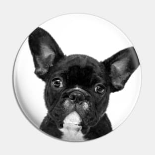 Black and White French Bulldog Pin