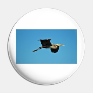 Great Blue Heron In Flight Pin