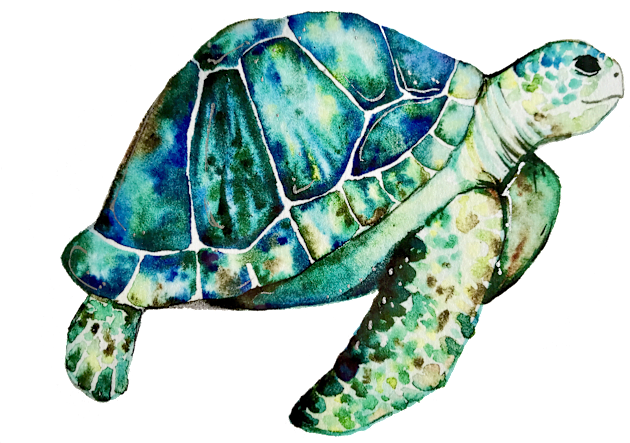 Sea Turtle Kids T-Shirt by aquabun