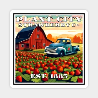 Plant City  Strawberry Company - Plant City, Florida Magnet