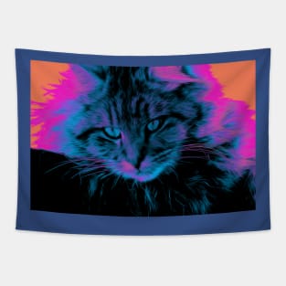 Curious Cat - Maine Coon Cat Tapestry