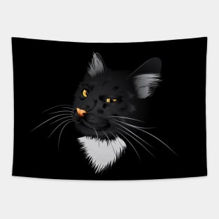 Black cat in the dark Tapestry