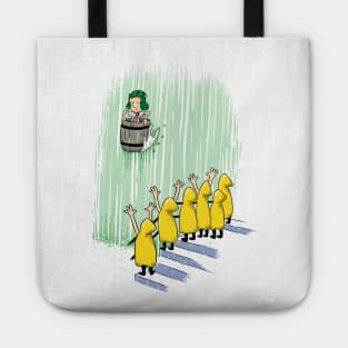 Cataratas del Chavo Tote