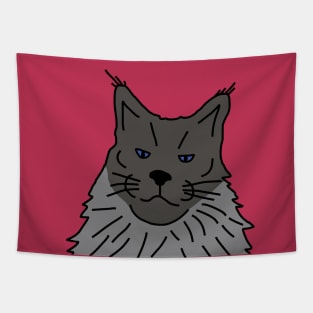 Maine Coon Cat Portrait with Background in Viva Magenta Tapestry