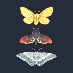 Solar Moths T-Shirt