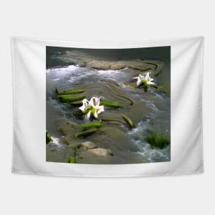 Water Lily Tapestry