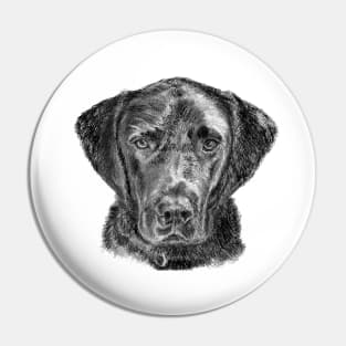 Labrador Pin