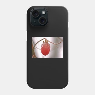 The Last Persimmon Phone Case