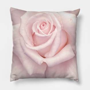 Rose Pillow