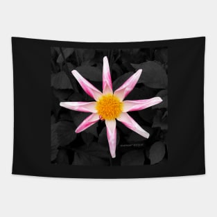 Star Flower Art Tapestry