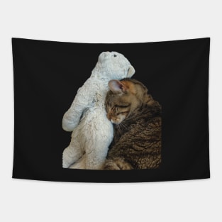 tabby cat with a teddy beat cute funny meme Tapestry