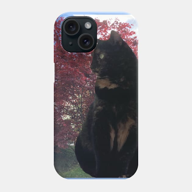 Pretty Kitty in the Window Phone Case by Amanda1775