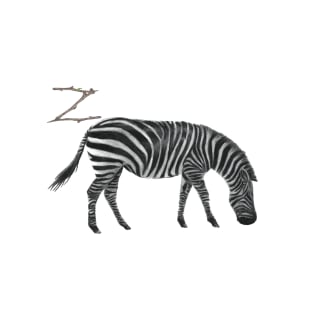 Z for zebra alphabet illustration, pencil illustration from my alphabet series T-Shirt