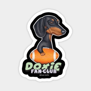 Funny Black Tan Doxie Holding a Football Magnet