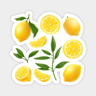 Lemons Magnet