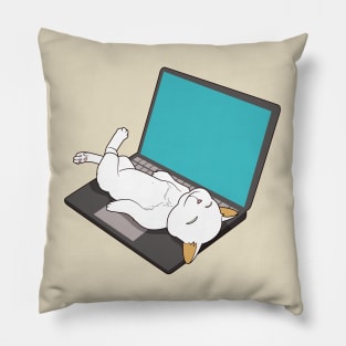 cat sleeping on laptop Pillow