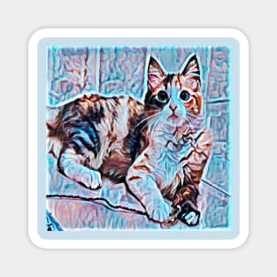 ART CAT 3D COLORS EXCLUSIVE Magnet