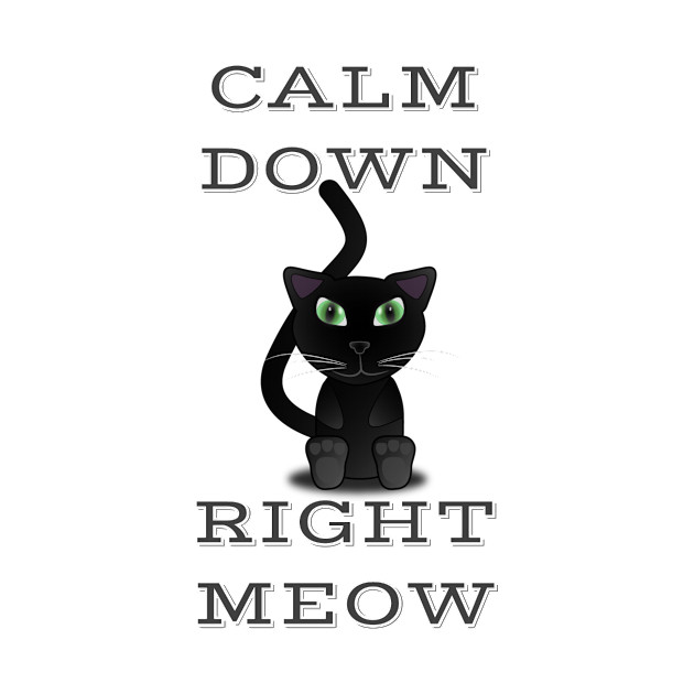 Calm Down Right Meow Cats T Shirt Teepublic