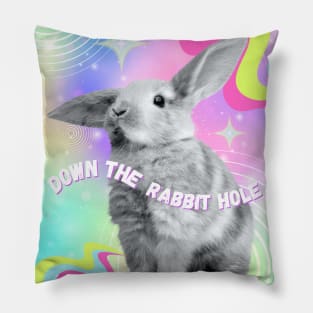 Down the Rabbit Hole Pillow