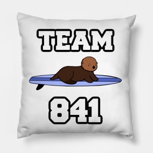 Team 841 Pillow