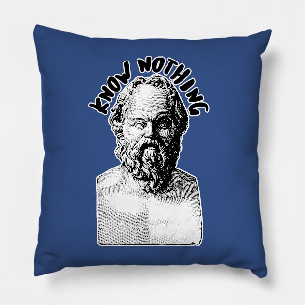 Socrates / Know Nothing Pillow by DankFutura