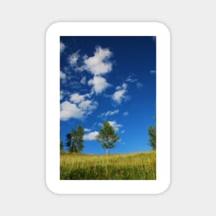 Trees with Cumulus Fractus Magnet